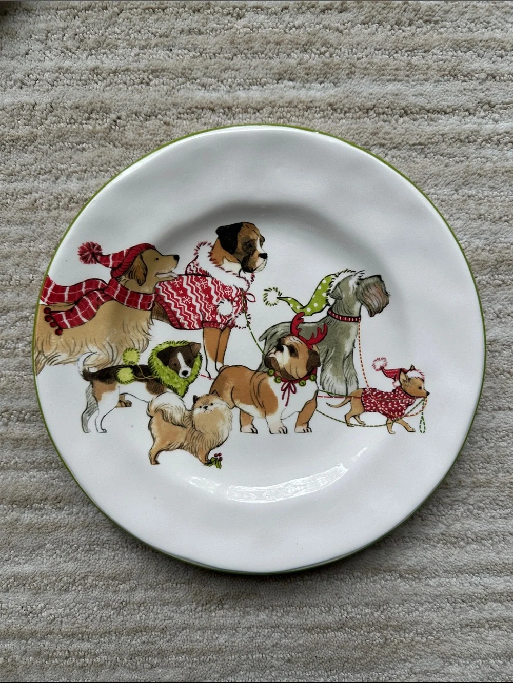 Set of 4 PIER 1 Park Avenue Holiday Puppies Salad Plates Ironstone 8 3/4”